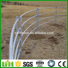 GM High quality hot sale galvanized pipe cattle fence